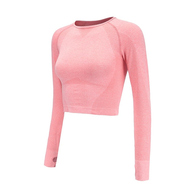 Women Cropped Seamless  Top